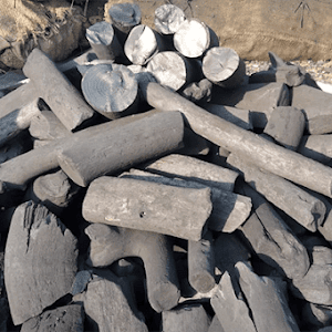 فحم الطلح السوداني هو نوع من الفحم النباتي المستخرج من أشجار الطلح المنتشرة في السودان. يُعتبر هذا الفحم من أجود أنواع الفحم النباتي